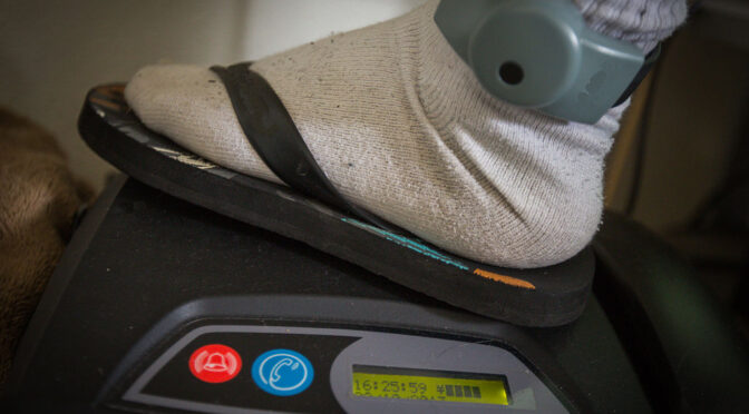 Vom Probeballon zum Gesetzentwurf: Elektronische Aufenthaltsüberwachung gegen Salafisten?