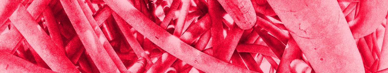 Bürgerrechte & Polizei | CILIP